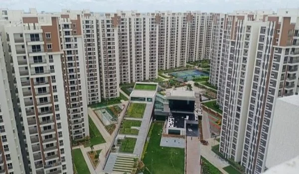 Purva Codename Flow Pre Launch